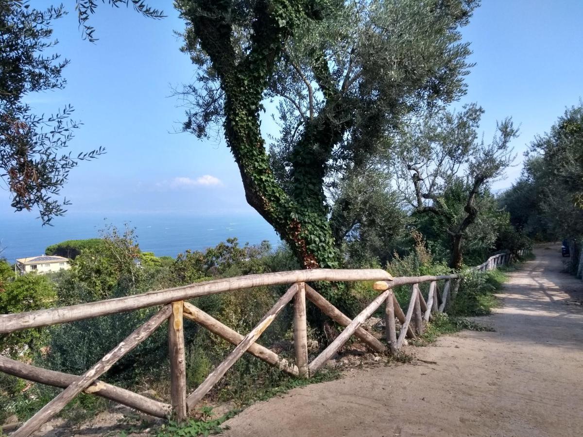 Anna Belle Elegant Agriresort Sorrento Buitenkant foto
