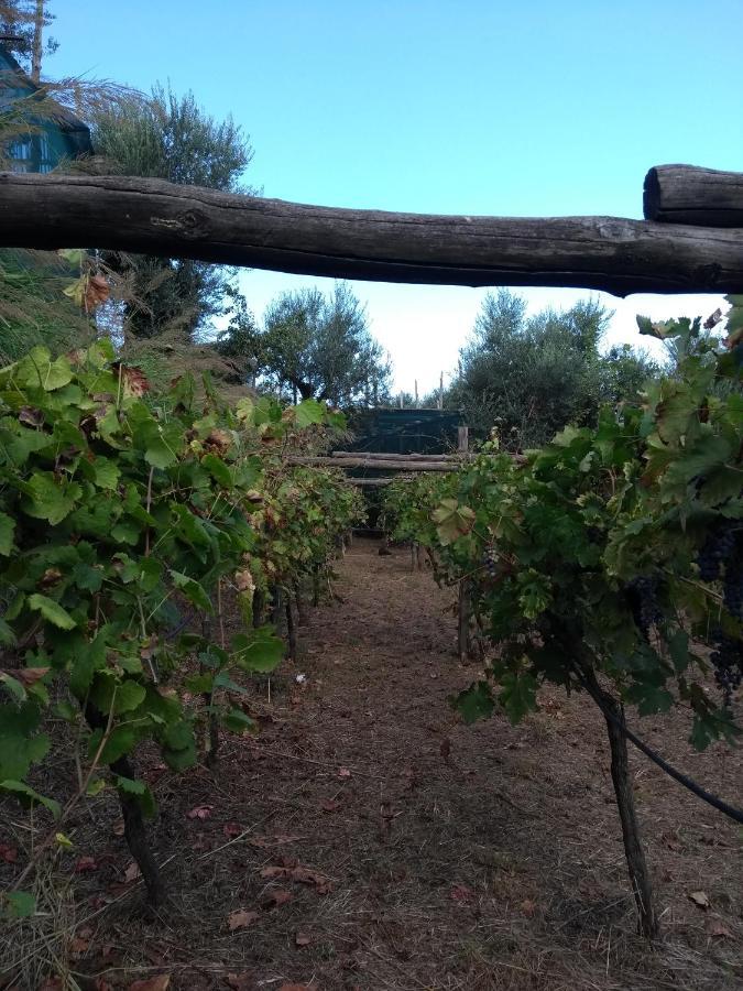 Anna Belle Elegant Agriresort Sorrento Buitenkant foto